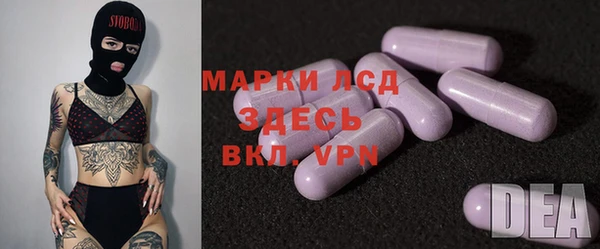 стаф Баксан