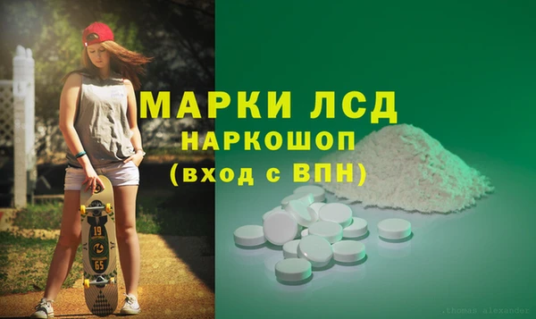 стаф Баксан