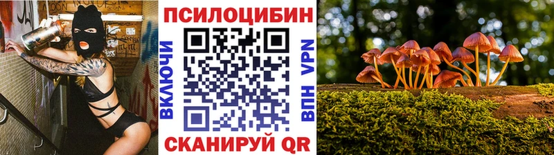 Псилоцибиновые грибы Cubensis  Купить закладки  Гусиноозёрск 